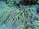 DSC00089.JPG