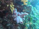 DSC00095.JPG