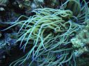 DSC00108.JPG