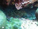 DSC00179.JPG