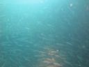 DSC00224.JPG