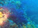 DSC00168.JPG
