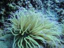 DSC00215.JPG