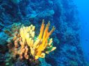 DSC00262.JPG