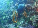 DSC00034.JPG