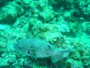 DSC00317.JPG