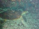 DSC00395.JPG