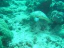 DSC00431.JPG