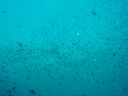 DSC00479.JPG