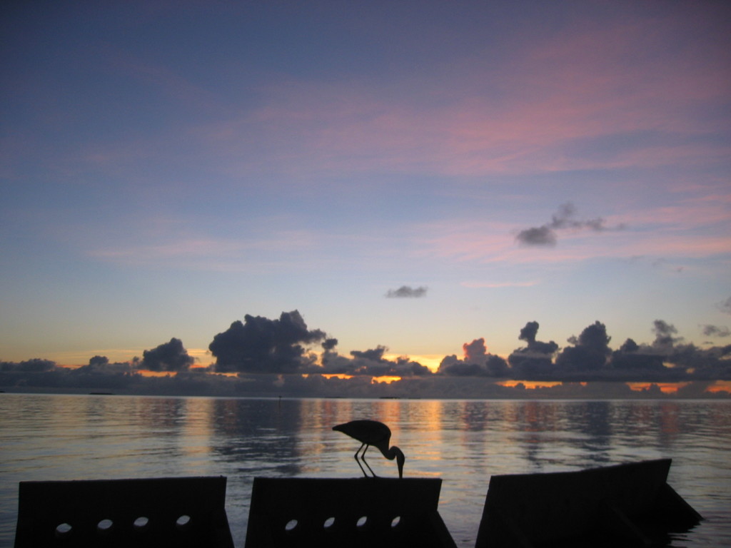 Vilamendhoo_2004_022.jpg