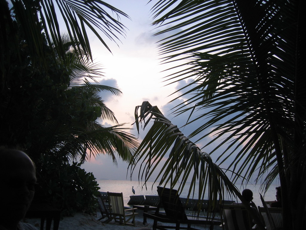 Vilamendhoo_2004_054.jpg
