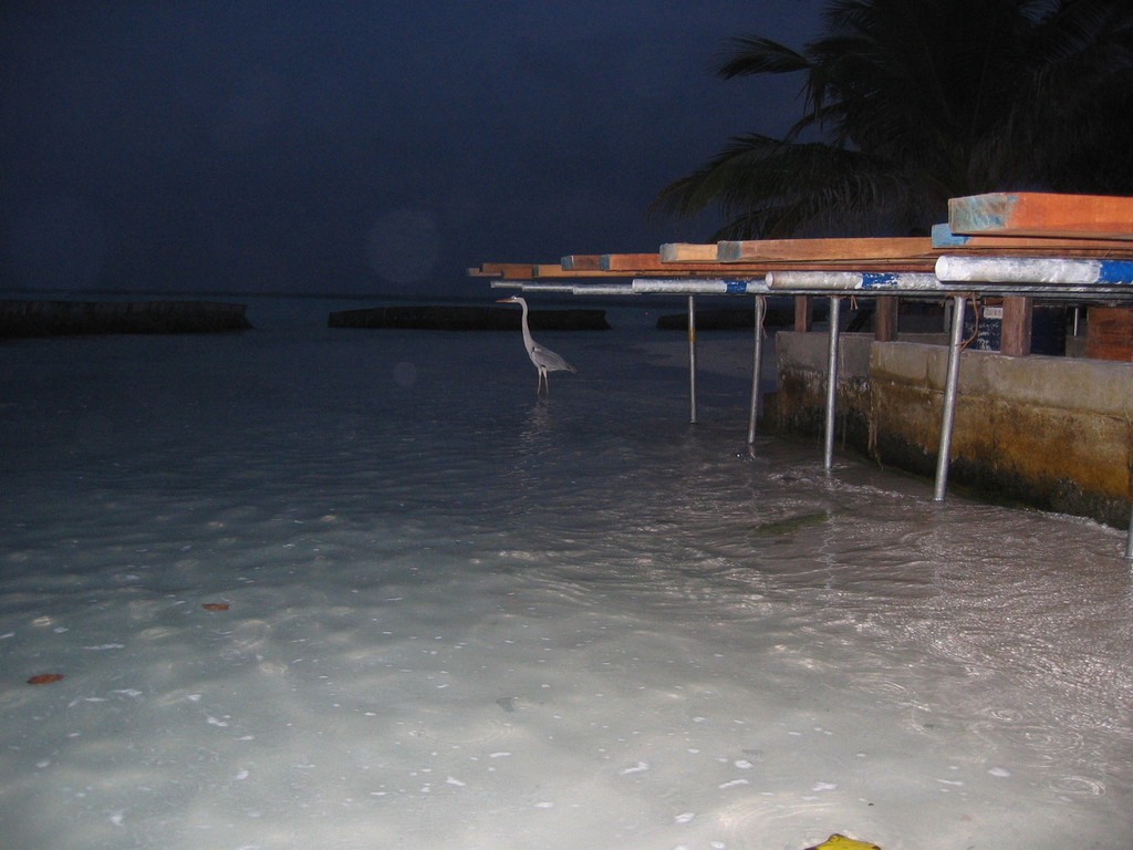 Vilamendhoo_2004_102.jpg