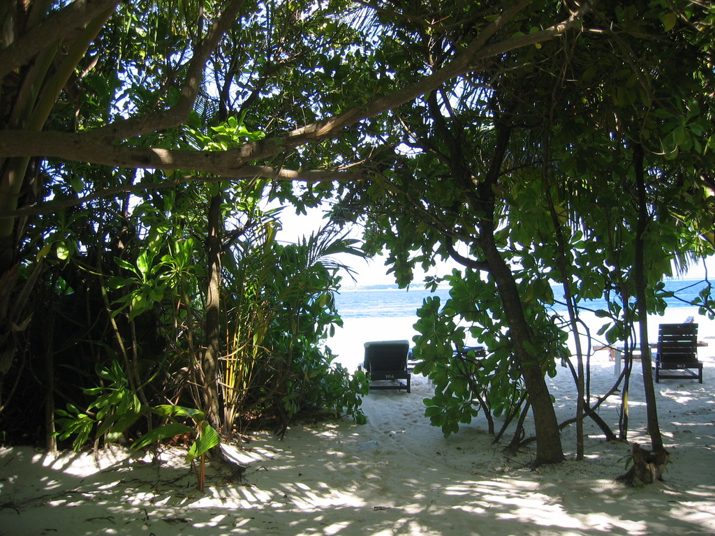 Vilamendhoo_2004_113.jpg