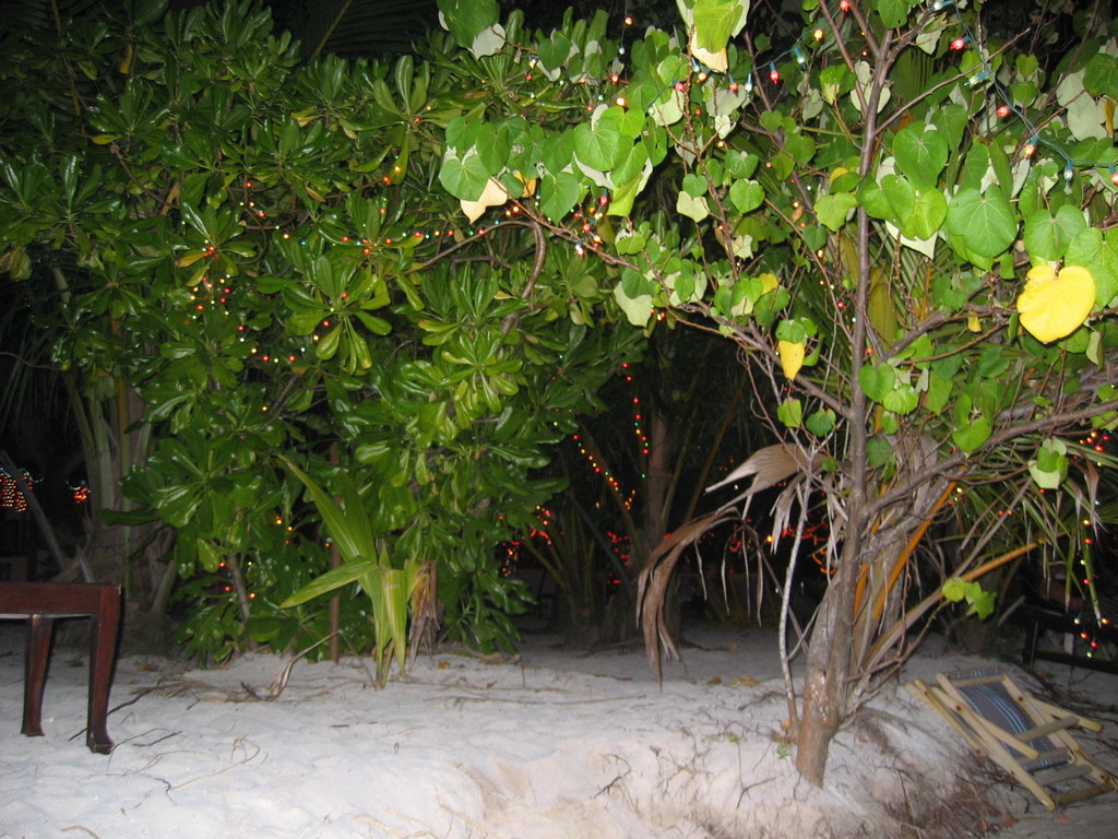 Vilamendhoo_2004_182.jpg