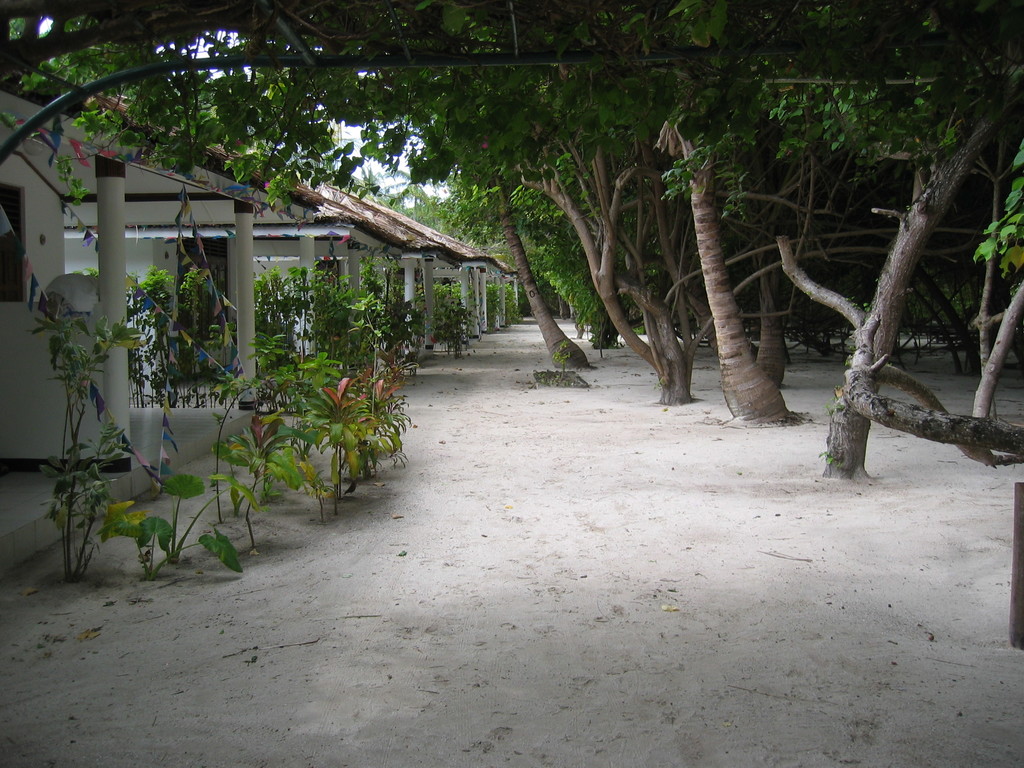 Vilamendhoo_2004_258.jpg