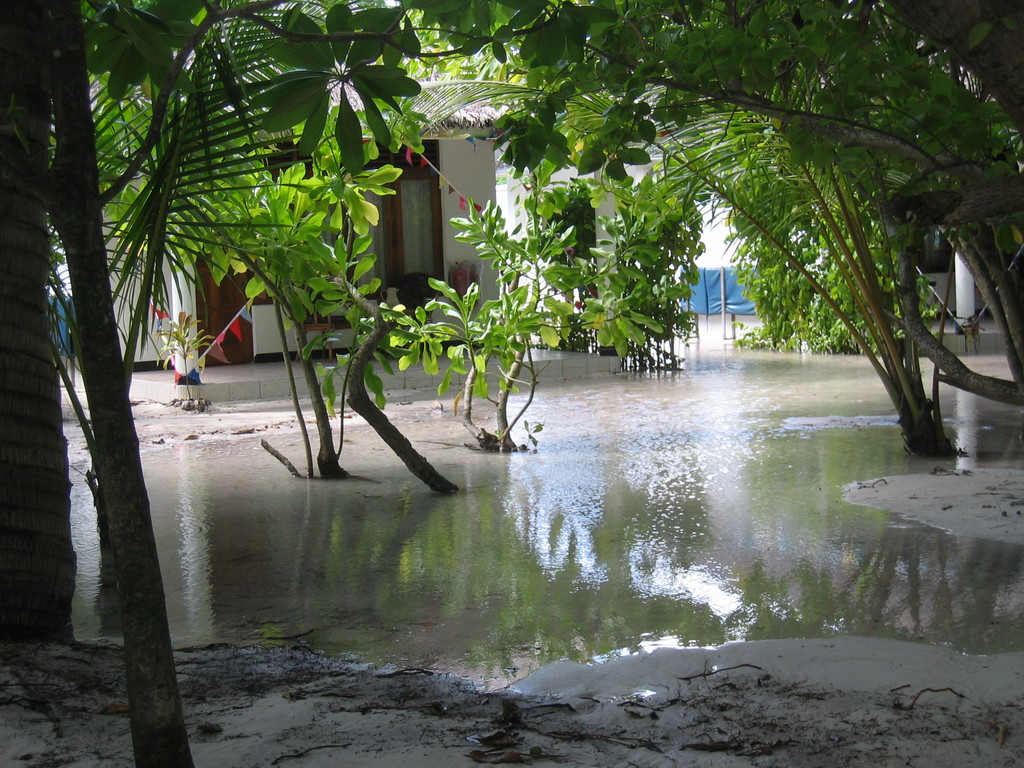 Vilamendhoo_Tsunami_2004_228.jpg