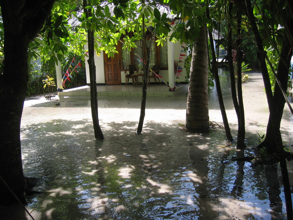 Vilamendhoo_Tsunami_2004_229.jpg
