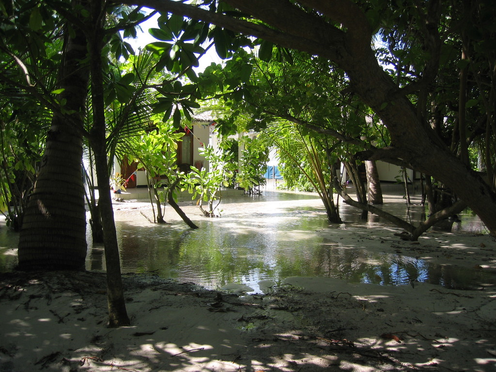 Vilamendhoo_Tsunami_2004_230.jpg