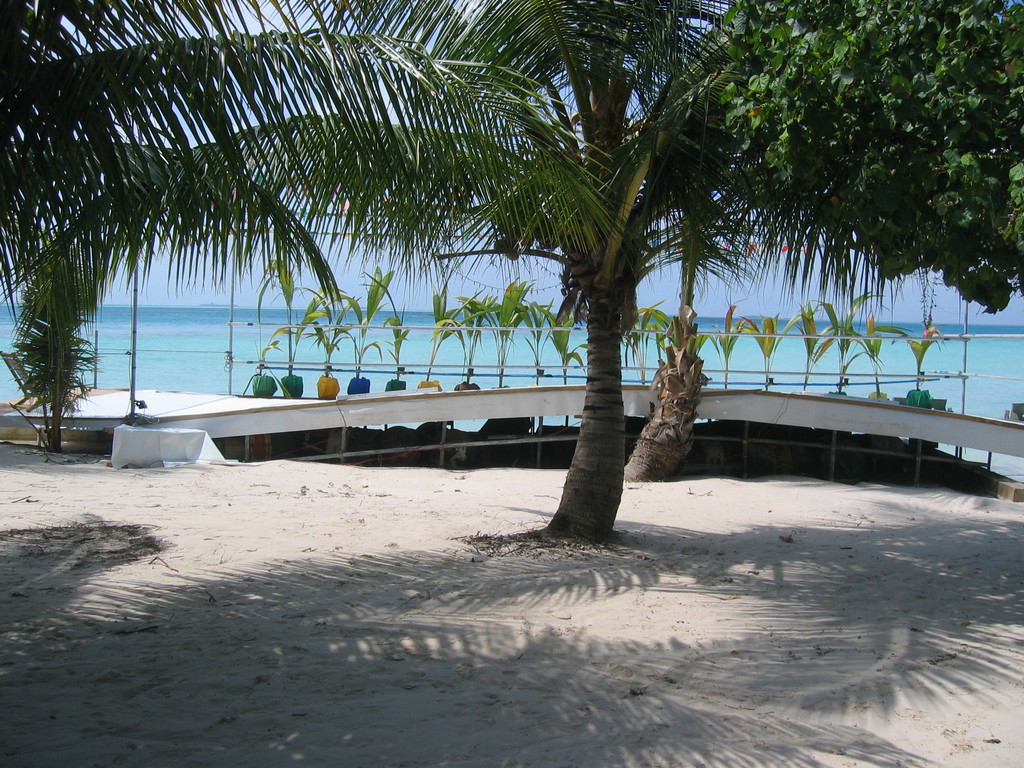 Vilamendhoo_Tsunami_2004_241a.jpg