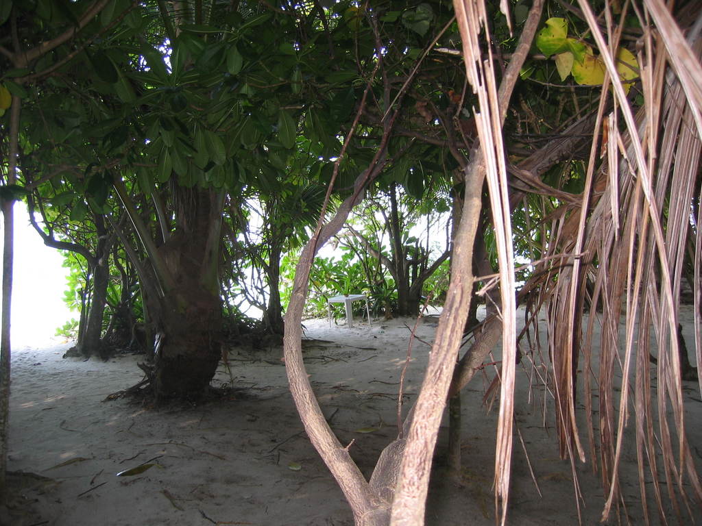 Vilamendhoo__2004_044.jpg
