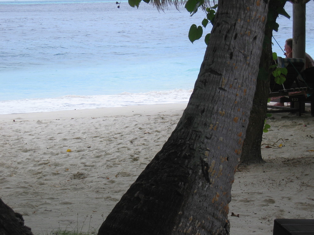 Vilamendhoo__2004_278.jpg