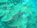 DSC00058.JPG