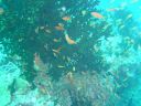 DSC00066.JPG