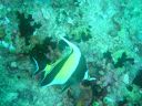 DSC00070.JPG