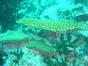 DSC00166.JPG