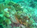 DSC00374.JPG
