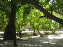 Vilamendhoo_2004_032.jpg