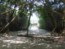 Vilamendhoo_2004_034.jpg