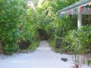 Vilamendhoo_2004_225.jpg