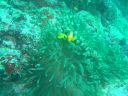 DSC00266.JPG