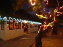 DSC00342.JPG