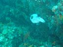 DSC00010.JPG