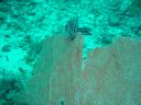 DSC00158.JPG