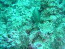 DSC00235.JPG