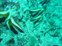 DSC00243.JPG