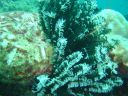 DSC00290.JPG