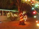 DSC00305.JPG