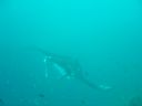 DSC00431.JPG