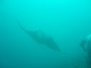 DSC00435.JPG