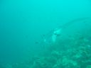 DSC00494.JPG