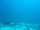 DSC00070.JPG