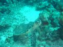 DSC00075.JPG