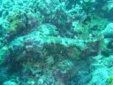 DSC00095.JPG