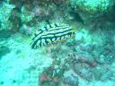 DSC00215.JPG