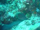 DSC00240.JPG