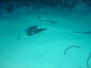DSC00252.JPG